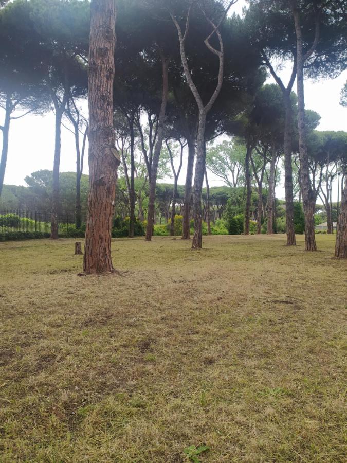 Attico Con Terrazza In Via Dei Traghetti Lejlighed Lido di Ostia Eksteriør billede